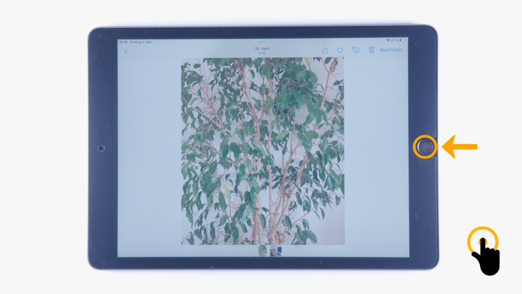 (iPad:) Fotos-App geöffnet: Farbliche Markierung um Homebutton